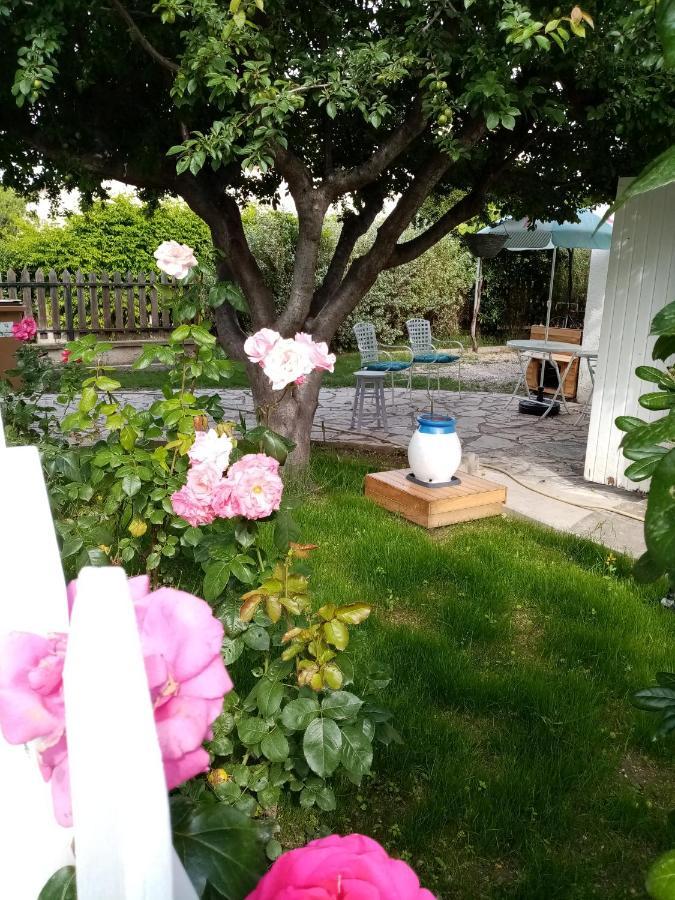 Le Flamant Rose Bed & Breakfast Salin-de-Giraud Exterior photo