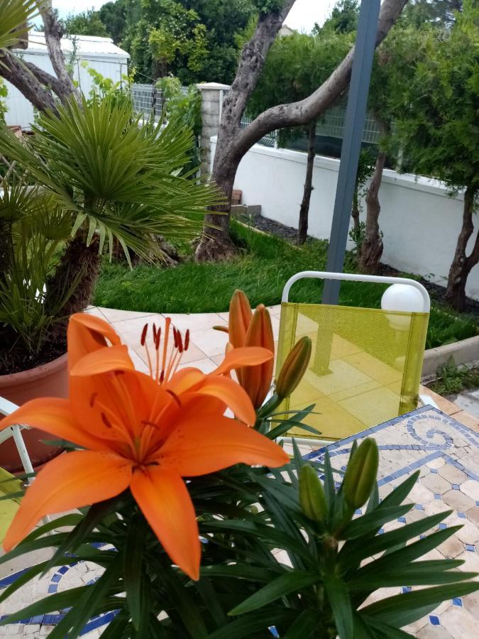 Le Flamant Rose Bed & Breakfast Salin-de-Giraud Exterior photo