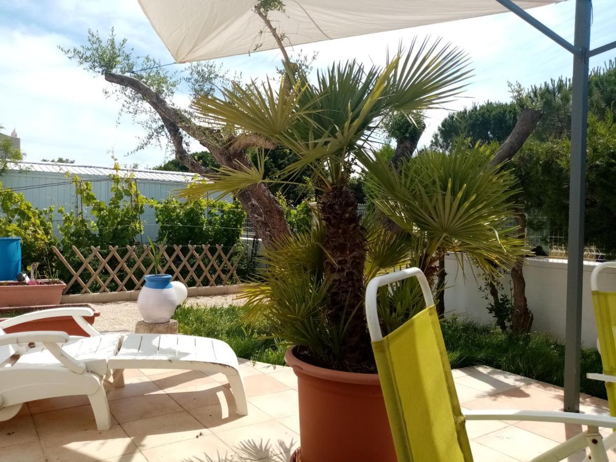 Le Flamant Rose Bed & Breakfast Salin-de-Giraud Exterior photo
